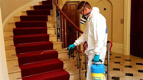Pest Control Poole, Bournemouth & Dorset .